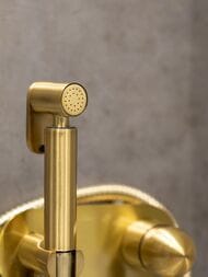 ��������� Boheme Medici 424 ������������, � ������������� �����, �������������, ������