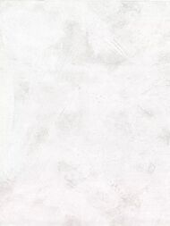 ���� ��������� �� ��������� Prima Italiana Volare (1,06�10) �������, ����� 80468 (���.)