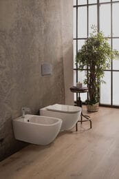 ������ ��������� Globo Genesis ������������, ��� �������, ����� ������� GNS02BO