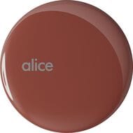 ������ ������ ��� ������� Alice ������������, ���������������, ������� �����.  PIL00697