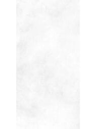 ������ ��������� Alma Ceramica Richard (249x500) ����� TWU09RCD000 (��.�)