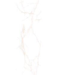 ������ ��������� Alma Ceramica Dea (200x600) ����� TWA11DEA004 (��.�)