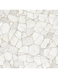 ��������������� ������ Alma Ceramica Sahara (600x600) ����� GFU04SHR07R (��.�)