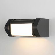 ������� ��������� ���������� Elektrostandard DORS 35163/D a072077, ������
