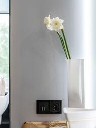  Werkel  2  Favorit (,) W0021108