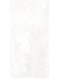 ������ ��������� Alma Ceramica Piemonte (249x500) ����� TWU09PMT004 (��.�)