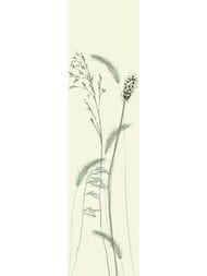 ����� Marburg Crush Motion 63487 (0,70�2,70) �����, ������� (���.)