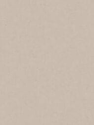 ���� ��������� �� ��������� Wall Up Estetica (1,06x10,05) ������, ���������� 655360 (���.)