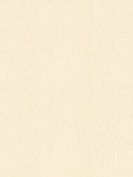 ���� ��������� �� ��������� Solo Happy Bunny (1,06�10,00) �������, ��������� A3508-5 (���.)