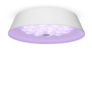 ���������� ���������� Freya Cells (����) FR10013CL-L24W, 80 Ra, 220/240 V, IP20,�����