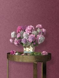     Erismann Gentle ER12207-06  (1,0610,05)  (.)