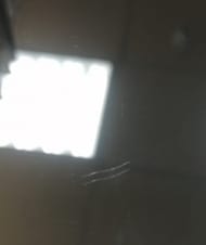 ������! ������� Aqwella Papyrus (960�560�40) � ���������� Pap.02.10