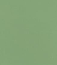 Обои виниловые на флизелине Rasch Natural Colors (0,53х10,05) зеленые 537918 (рул.)