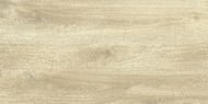 ��������������� ������ ������� Ajanta ash (600�1200�10) ���.�����,GRS11-17s (� �� 2,16�2)(��.�.)