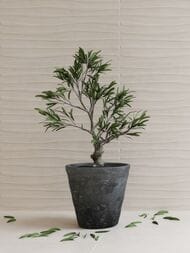 ������ ��������� Gracia Ceramica ��� ������� ��� 02 (250�400) ������� 010100001186 (��.�.)