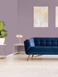 ���� ������������ Hygge 77 Colors C4 06 (1,00�10,05) ���������� (���.)