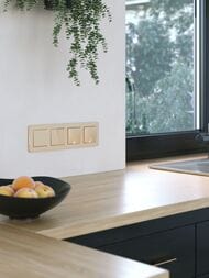  Werkel  4  Platinum () W0042611