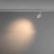 �������� ���������� Maytoni Vuoro (�����) TR003-1-10W3K-M-W Unity 3000K 10�� 36�, IP20, �����