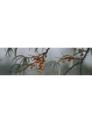 ����� KERAMA MARAZZI ������ 7 (85�285) ��������� OS\A119\9016 (��.)