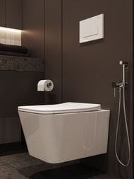 ��������� ������������ Aqueduto PUREZA PUR0200 � ������������� �����, ����: ����