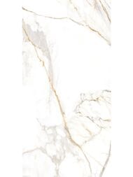 ��������������� ������ Alma Ceramica Trendy (600x1200) ����� GFU60120TRD04R (��.�)