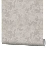 ���� ��������� �� ��������� Fipar Meteora (1.06x10.05) ����������, ����� R24129 (���)