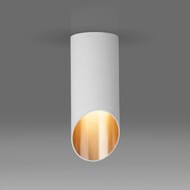 �������� ���������� Elektrostandard DLN114 GU10 a050119, �����