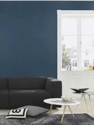 ���� ��������� �� ��������� Rasch Natural Colors (0,53�10,05) �����, ��� ����� 555950 (���.)