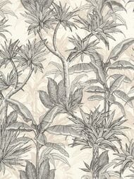 ���� ��������� �� ��������� Rasch Allegretto (0.53x10.05) �����, ������������ 793413 (���.)