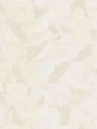 ���� ��������� �� ��������� ROBERTO CAVALLI  9 (1,06�10,05) ����������, ������-����� 21062 (���.)