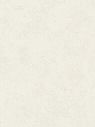 ���� ��������� �� ��������� Grandeco TANGO R125002 (1,06�10,05), ������� (���.)