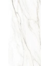 ������ ��������� Alma Ceramica Euphoria (249x500) ����� TWU2550EPH04 (��.�)