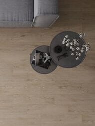   Laparet Oak (150600) , ,  OK 0016   (..)