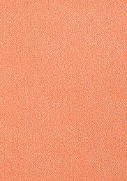   Thibaut Paramount (0,698,22)  T2967 ()