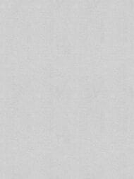 ���� ��������� �� ��������� Wall Up Step-Up (1.06x10.05) ���������, ����� W185003 (���.)