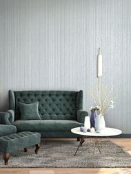 ���� ������������ Hohenberger Universe (0,53�10,05) ������, ������� 64615 (�����)