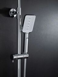 ������� ������� � ���������� �������-��������������, ������ � ������� ����� , FRAP ����, F2486