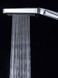��������� ��� ����� � ���������� �� ���� , FRAP ����, F1161