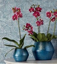 ���� �������� Thibaut Modern Resource 2 (0,69�8,22) ��������, ����� T10462 (�����)