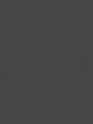 ���� ��������� �� ��������� Rasch Allegretto (0.53x10.05) ���������, ������ 688023 (���.)