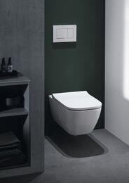 GEBERIT Sigma30 Клавиша смыва, двойной смыв белый/декор глянцевый хром 115.883.KJ.1