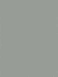 ���� ��������� �� ��������� Wiganford All time Trend Art (1,06�10,05) �����-�������, WG0507 (���.)