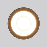 ������� ���������� ���������� Elektrostandard Light LED, ������