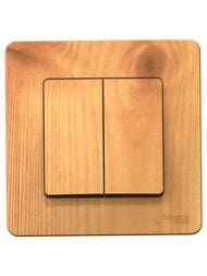  Systeme Electric BLANCA   2- c.5, 10A 250B,  BLNVS010505