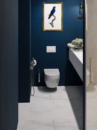 ��������������� ������ Staro Luna Rossa Antisky Light Grey Satin (600�1200) �0006419 (��.�.)