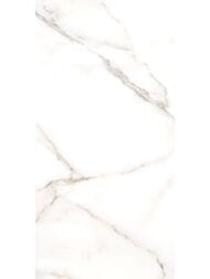 ������ ��������� Alma Ceramica Grigio (249x500) ����� TWU09GRG007 (��.�)