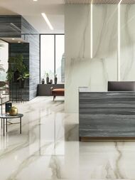 ��������������� ������ ITALON Charme Advance Cremo Delicato (600�1200) 610015000583 (��.�.)