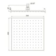 ������� ��� Paini ����������, 250 ��, ��� ���������, ���� 50CR759Q25EA