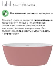    toHit Aster 1700760580,  , , TH08-041704