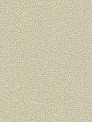 ���� ��������� �� ��������� ROBERTO CAVALLI Home 8 (1,06�10,05) �������, ������� 19021 (���.)